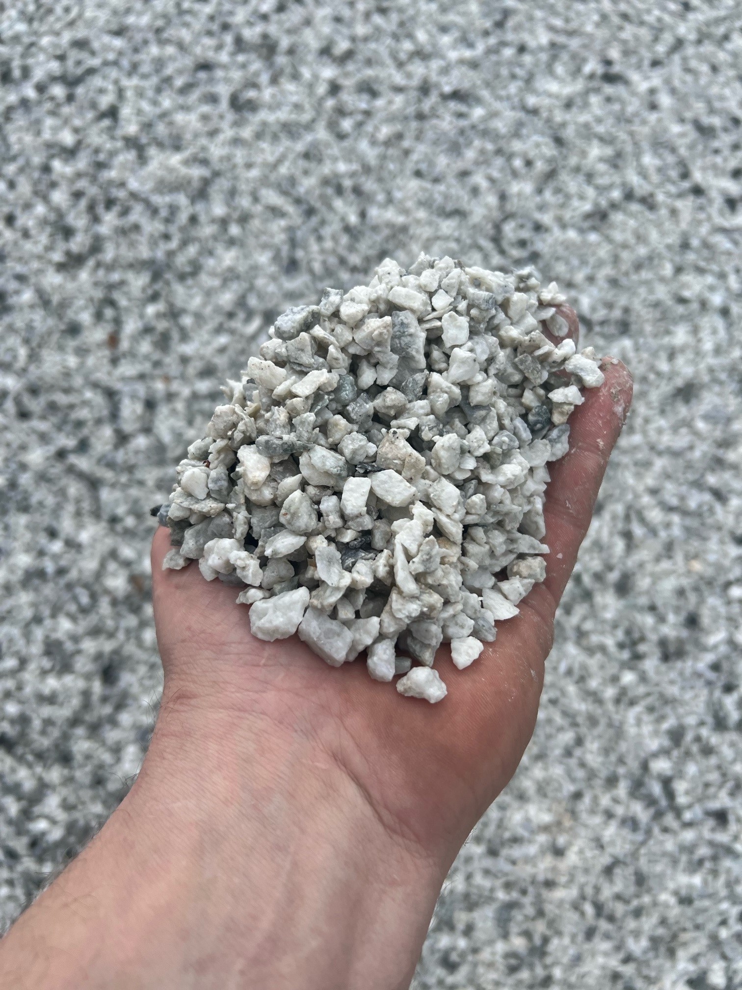 Kvit hagesingel 5-8mm